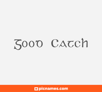 Good Catch